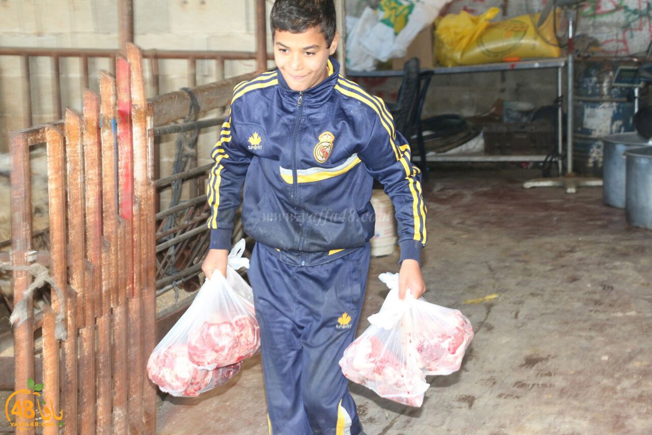 3aqeqaj pics (8).jpg